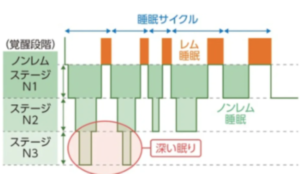 スクリーンショット 2025-01-30 16.08.10