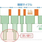 スクリーンショット 2025-01-30 16.08.10